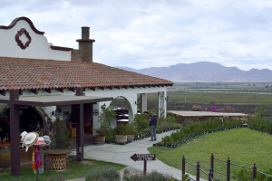 Valley View from Hacienda Guadalupe