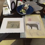 sheep drawing & print