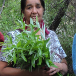 Kumiai Master Basket Weaver Virginia Melendrez